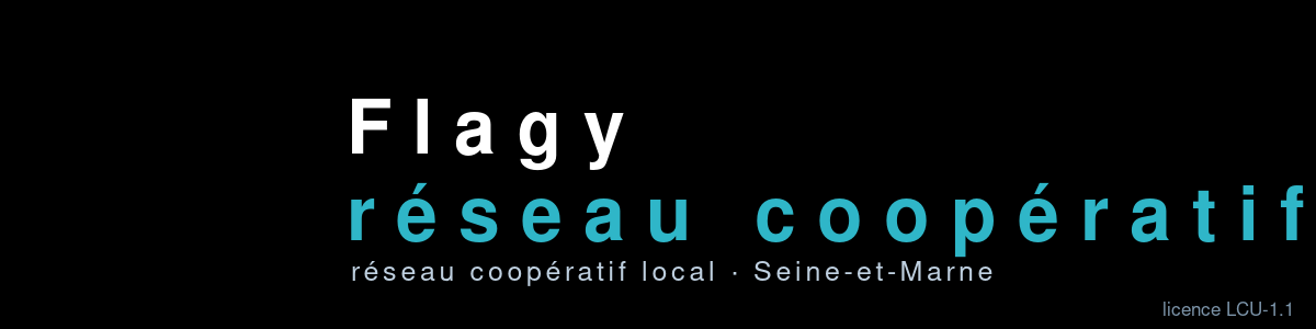 Flagy — réseau coopératif local